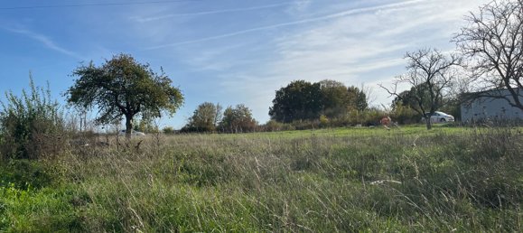  Land in Gondrexange, France No. 68182 3