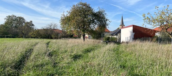  Land in Gondrexange, France No. 68182 9