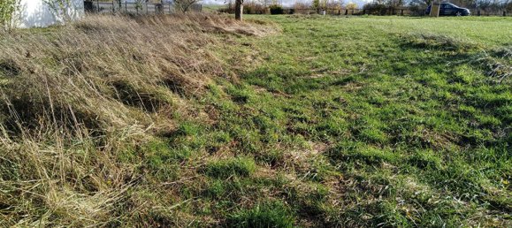  Land in Gondrexange, France No. 68182 7