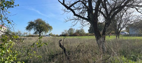  Land in Gondrexange, France No. 68182 2