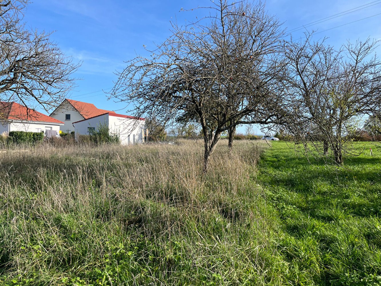  Land in Gondrexange, France No. 68182