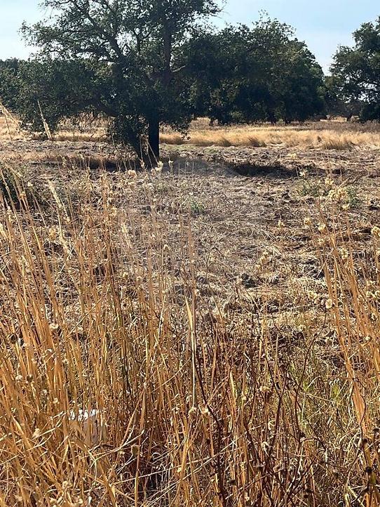 506m² Land in Benavente, Portugal No. 218682