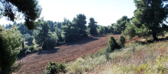 9500m² Hotel in Chalkidiki, Greece No. 6526 3