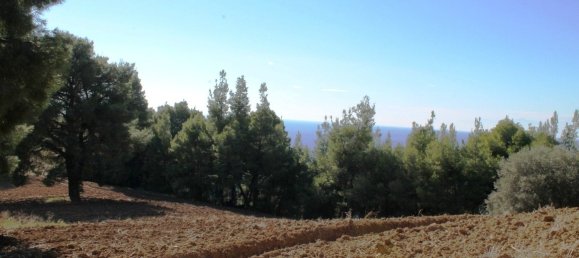 Hotel em Chalkidiki, Greece 9500 m² N.º 6526 12
