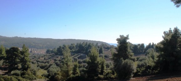 9500m² Hotel in Chalkidiki, Greece No. 6526 13