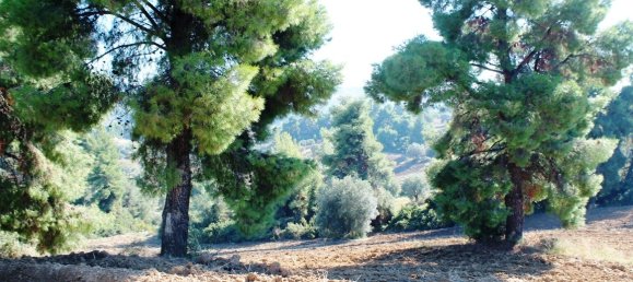 Hotel em Chalkidiki, Greece 9500 m² N.º 6526 11