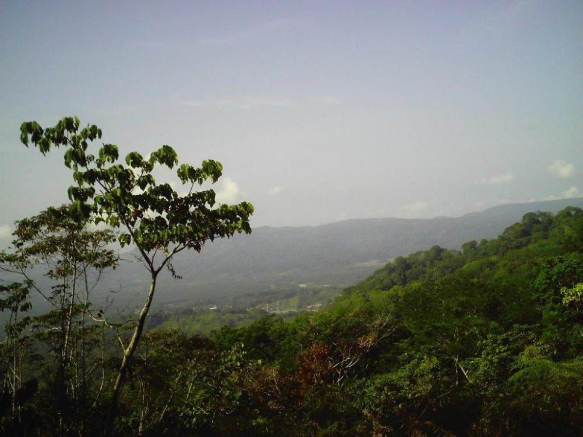  Land in Puntarenas, Costa Rica No. 1367