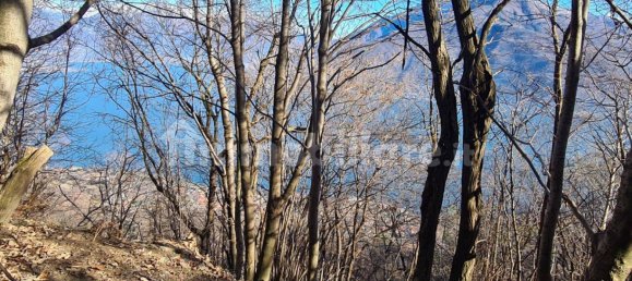 Дом с 2 спальнями в Пьянелло дель Ларио, Италия № 255953 10