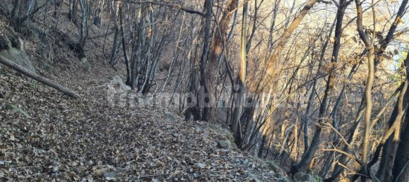 Дом с 2 спальнями в Пьянелло дель Ларио, Италия № 255953 16