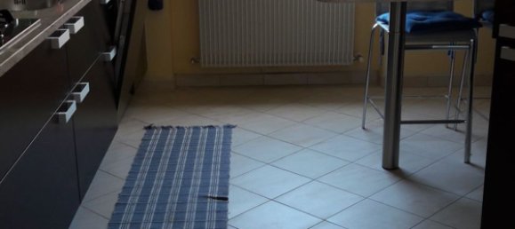 2 rooms Apartment in Vigolzone, Italy No. 253957 8