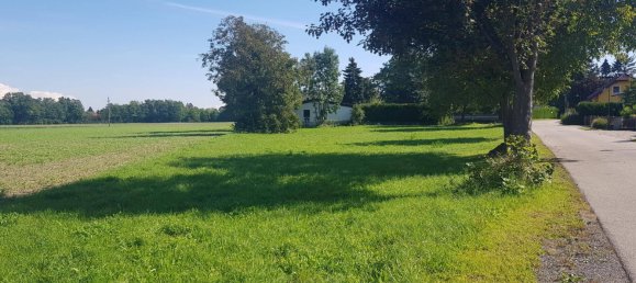  Land in Grafenworth, Austria No. 117721 2