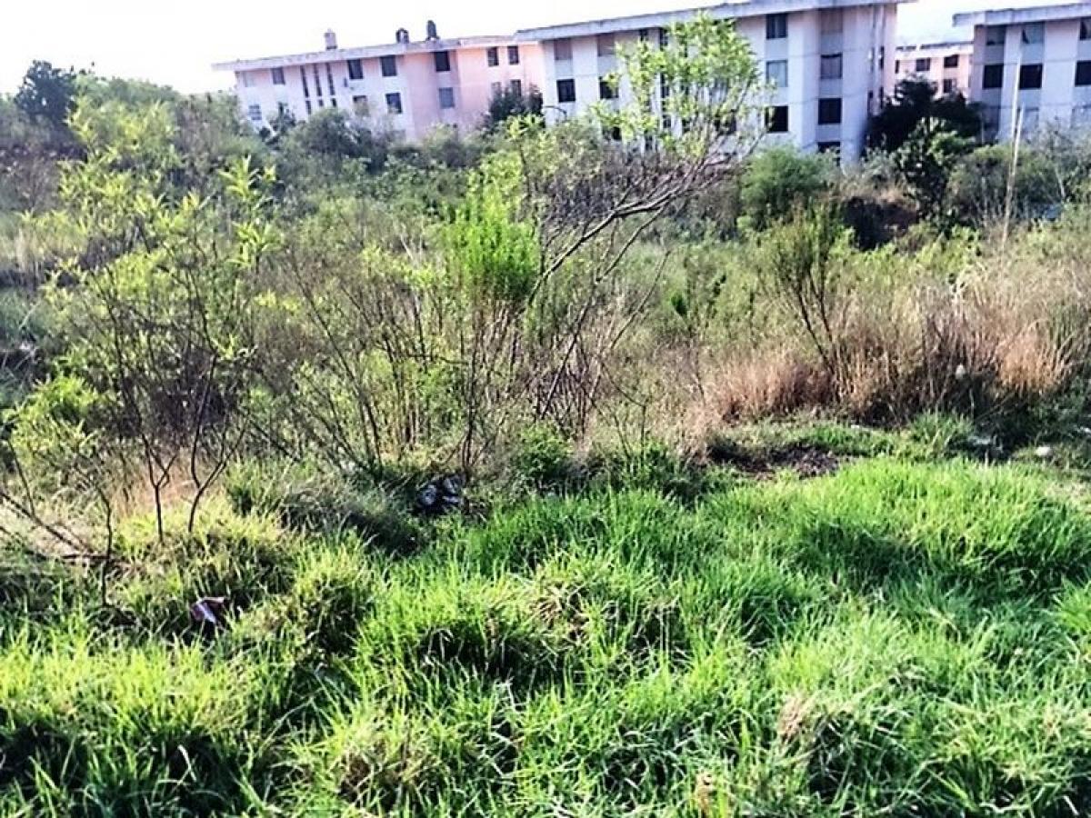 Terrain à Ciudad Lopez Mateos, Mexico No. 206277