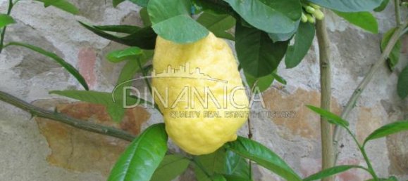 Casa de 5 divisões em Montecatini Terme, Italy N.º 233229 3