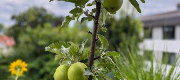 4غرفة شقة في Wals-Siezenheim, Austria رقم 211855 15