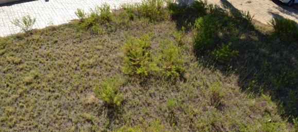 3 bedrooms Property in Chalkidiki, Greece No. 6542 21