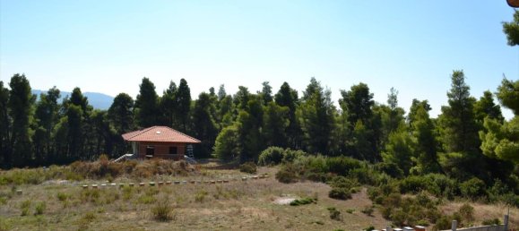 3 bedrooms Property in Chalkidiki, Greece No. 6542 18