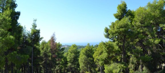 3 bedrooms Property in Chalkidiki, Greece No. 6542 19