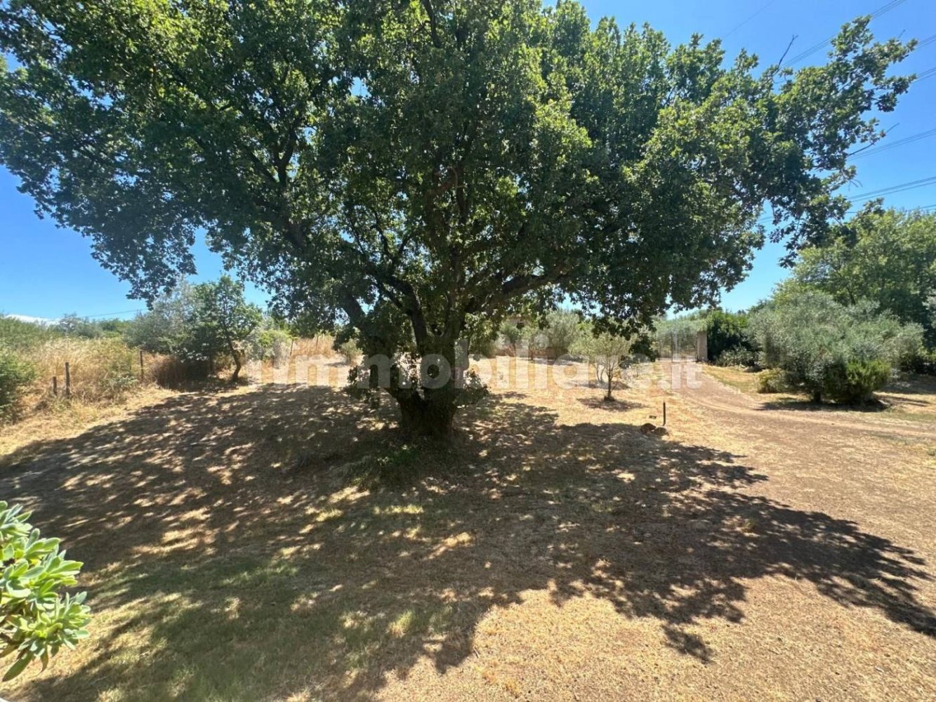 4 غرف نوم فيلا في Monterosi, Italy رقم 278236