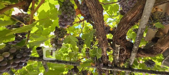 4 Schlafzimmer Villa in Olbia, Italy, Nr. 313496 35