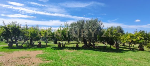 Дом с 3 спальнями в Гаворрано, Италия № 377347 6