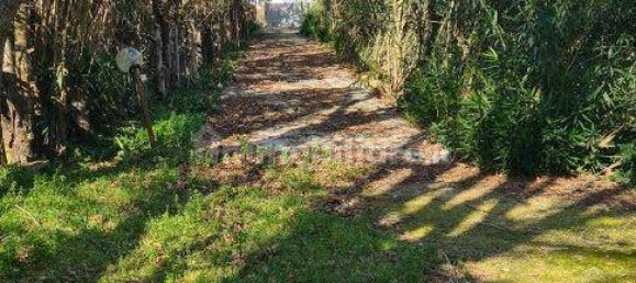 2 bedrooms Villa in Nettuno, Italy No. 172227 14