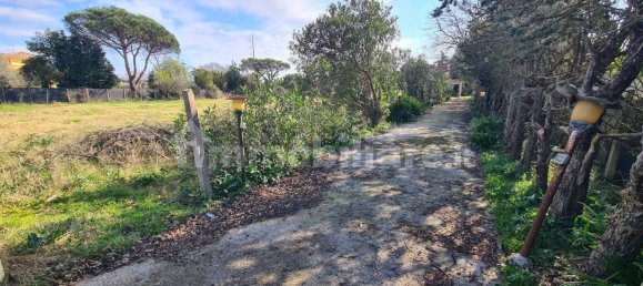 2 bedrooms Villa in Nettuno, Italy No. 172227 8