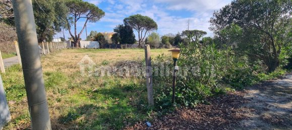 2 bedrooms Villa in Nettuno, Italy No. 172227 9