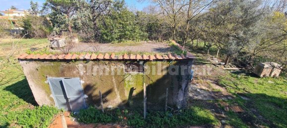 2 bedrooms Villa in Nettuno, Italy No. 172227 21