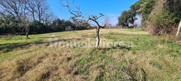 2 bedrooms Villa in Nettuno, Italy No. 172227 28