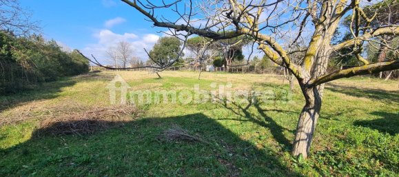 2 bedrooms Villa in Nettuno, Italy No. 172227 12