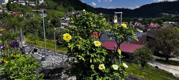 Таунхаус с 7 комнатами в Ротвайль, Германия № 20326 11