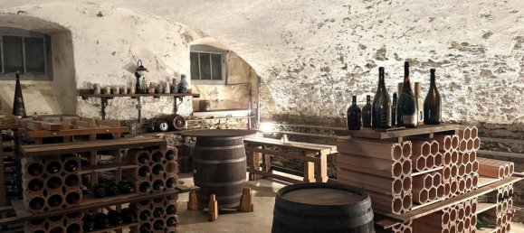 Дом с 22 комнатами в Химмельберг, Австрия № 139025 20