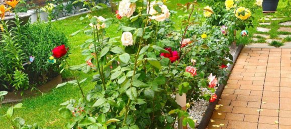 5-Zimmer Haus in Altheim, Austria, Nr. 240296 50