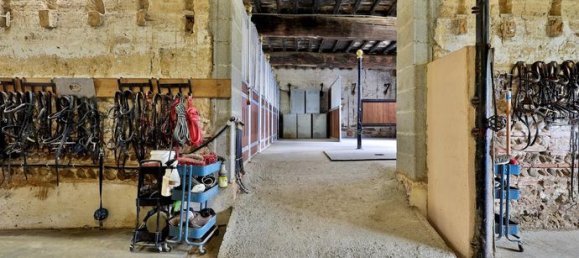 5غرفة قلاع في Chatillon-sur-Chalaronne, France رقم 315387 5