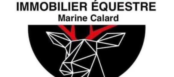 5غرفة قلاع في Chatillon-sur-Chalaronne, France رقم 315387 2