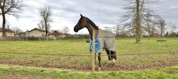 5غرفة قلاع في Chatillon-sur-Chalaronne, France رقم 315387 6