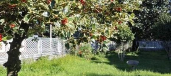 11 rooms Villa in Balangero, Italy No. 29540 26