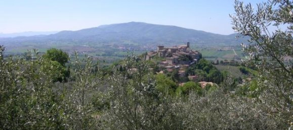 7120m² Land in Gualdo Cattaneo, Italy No. 252815 3