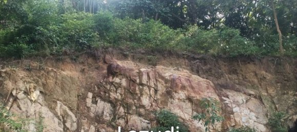  Commercial property in Surat Thani, Thailand No. 25159 6