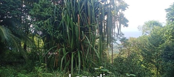  Commercial property in Surat Thani, Thailand No. 25159 2