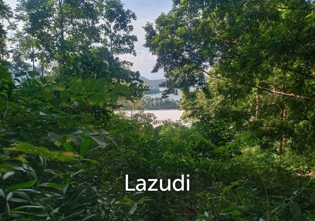  Commercial property in Surat Thani, Thailand No. 25159