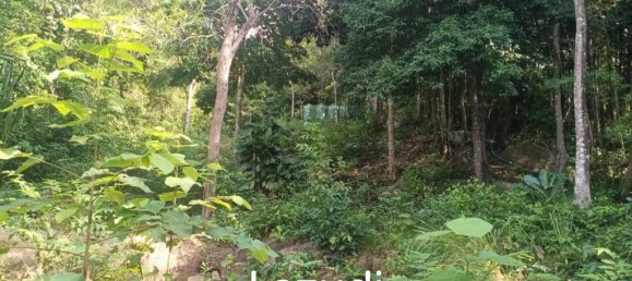  Commercial property in Surat Thani, Thailand No. 25159 4