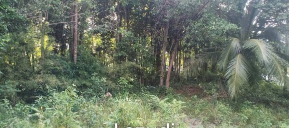  Commercial property in Surat Thani, Thailand No. 25159 5