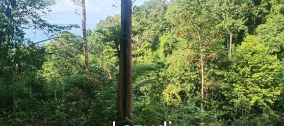  Commercial property in Surat Thani, Thailand No. 25159 3