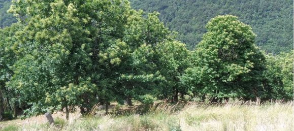 2 bedrooms House in Ormea, Italy No. 131063 38