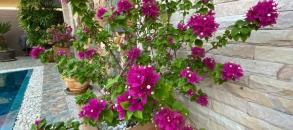 2 bedrooms Cafe / restaurant in Pattaya, Thailand No. 19766 2