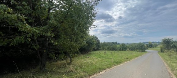 قطعة أرض في Lich, Germany رقم 310846 4