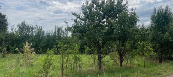 قطعة أرض في Lich, Germany رقم 310846 2