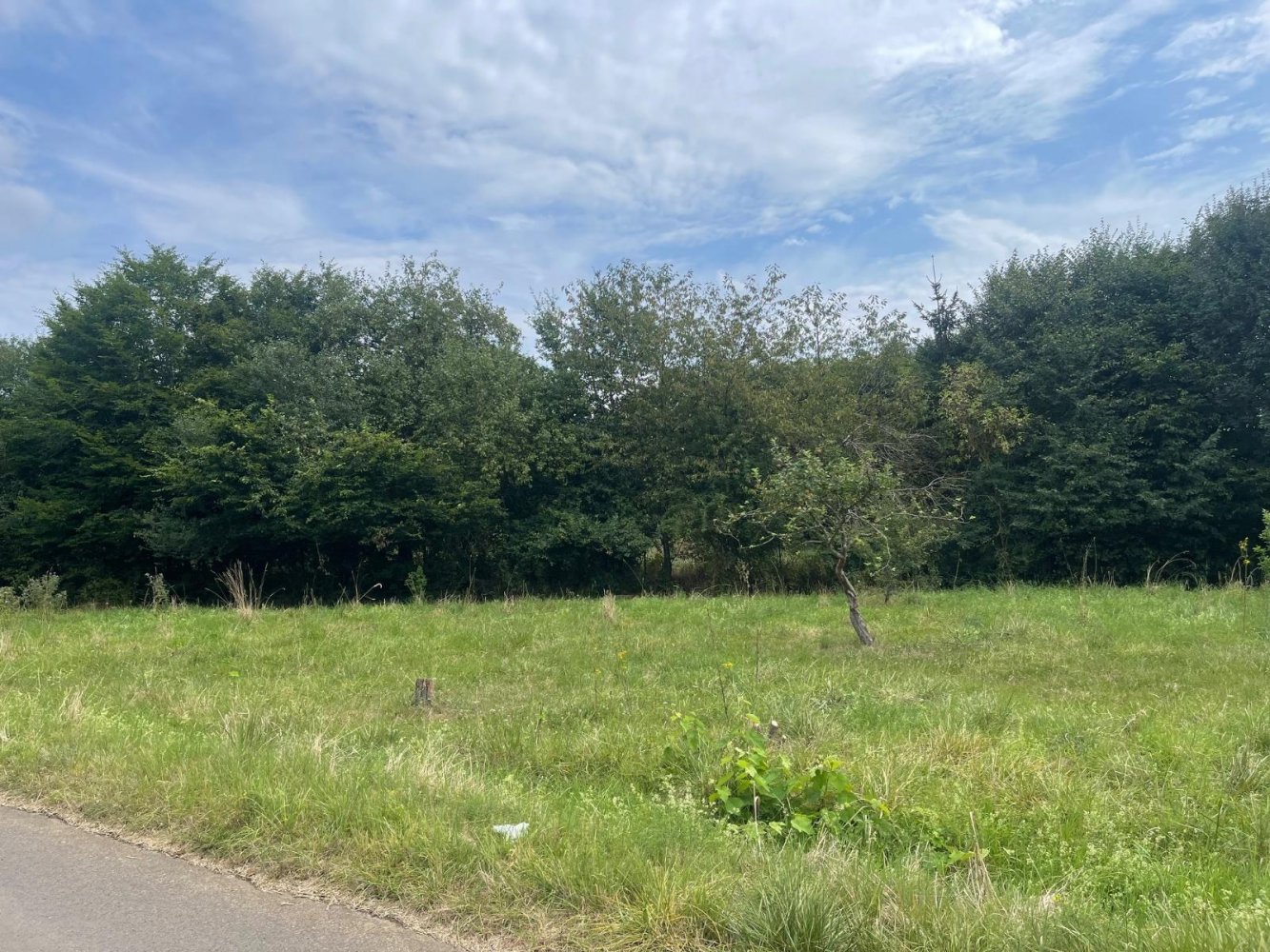  قطعة أرض في Lich, Germany رقم 310846