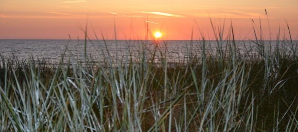 استوديو في Vorpommern-Rugen, Germany رقم 267019 22